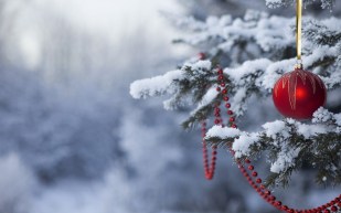 christmas-snow-tree-bell-wallpapers